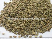  green   coffee   beans ,  robusta   coffee  bean