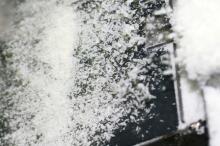 COCONUT CREAM POWDER, VIETNAM DESICCATED COCONUT POWDER