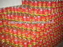 tomato ketchup/paste best sale