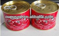 tomato ketchup sachet 10g
