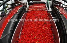 Canned 28-30% Tomato Paste