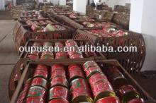 Best offer Tomato Paste
