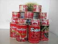 Canned Tomato Sauce 28-30%