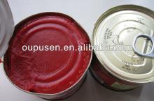 High Quality 200g Canned Tomato Ketchup