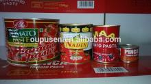 Best supply in canned Brix 28-30 Tomato Paste