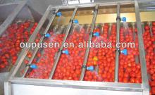 Brand New Fresh Tomato Sauce