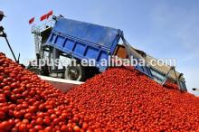 Drummed Tomato Sauce Ketchup