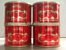 Hot Sales Ketchup Tomato Paste Tomato Sauce in Canned
