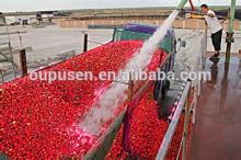 Best Offer bulk tomato paste origin in China