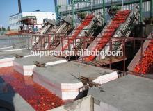 Tomato Ketchup Harvest Season Coming for Tomato Paste