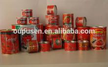 Hot sale fresh tomato in all canned tomato sauce sizes