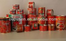 Ketchup/Tomato Sauce/Tomato Paste