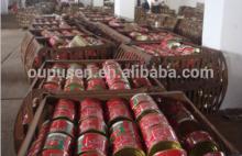 Sweet Sour Salt Chilli Canned Tomato Paste
