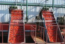 New Corp 2014 Concentrate 36-38% tomato paste in drum