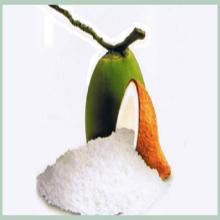 Desiccated Coconut Powder for sale