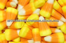  Bulk  Dried Yellow  Corn  for Animal and Human  Feed 