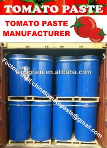 Tomato Paste 28-30% Brix CB Aseptic bag in drum
