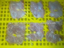 Chicken Skinless  Boneless   leg 