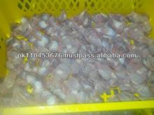 Halal  Frozen  Gizzard