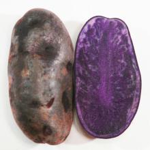  Shadow  Queen Potato