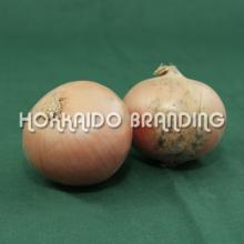 Salad Onion