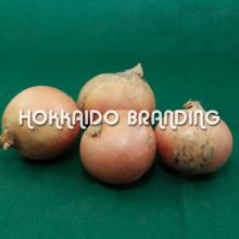Chemical-Free Onion Small 20 kg