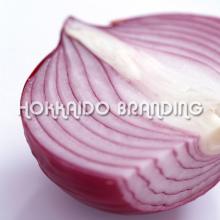 Red Onion 20kg