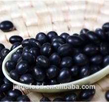  Dried   tofu  bean,lackBreakfast raw materials,Soybean Milk raw materials,Porridge raw materials,Freeze