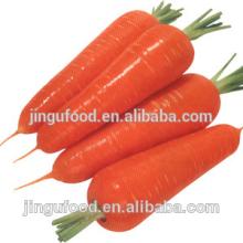 Freeze Dried Carrot
