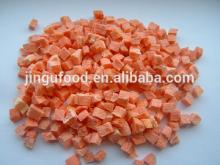 Freeze Dried Carrot Cubes