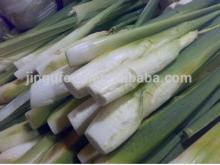 fresh freeze dried spring onion