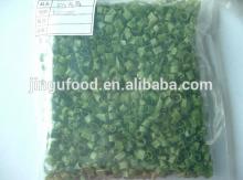 Made in China Freeze Dried Green Onion