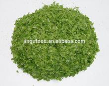 Freeze Dried Spring Green Onion leaf