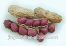 Freeze dried peanuts,Leisure snacks,Porridge ingredients