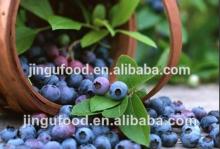 Dried Blueberry