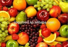 Bulk Wholesale Freeze Dried Fruit