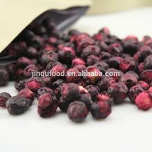 delicious snack  freeze   dried  blueberry