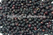 wholesale bulk freeze dried blueberries
