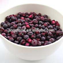 100% natural fresh freeze dried blueberries