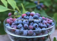 wholesale 100% natural fresh freeze dried blueberries