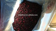 bulk 100% natural fresh freeze dried blueberries