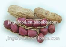 Freeze Dried Peanut