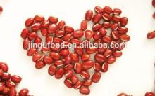Cheap Freeze  Dried   Red   Bean s
