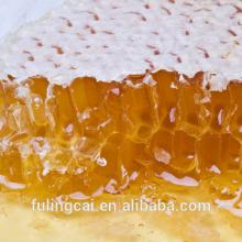 Hot sale best quality green honey