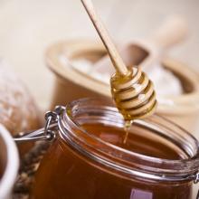 Hot sale 2014 new honey of best honey brand