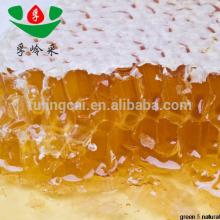 Hot sale high quality organic acacia honey