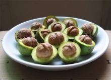 Chinese walnut in shell