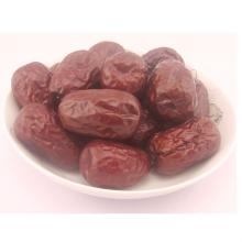 High quality red dates from China