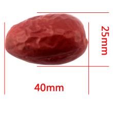 Sweet red dates in organic fruit