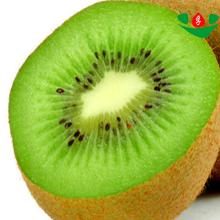 new crop high quality dried kiwi of natural dried fruit